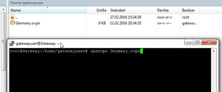 Verbindungstest-OpenVPN-Gateway-auf-Debian-Server