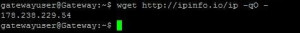 ipinfo-mit-wget