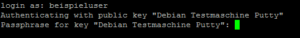 ssh-login-mit-rsa-key